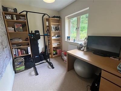 Picture 9
